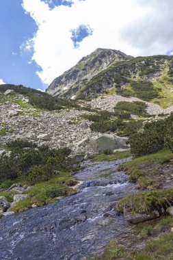 Bulgaristan 'ın Pirin Dağı' ndaki Muratovo Gölü yakınlarındaki manzara