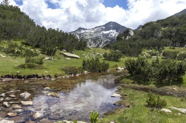 Bulgaristan 'ın Pirin Dağı' ndaki Muratovo Gölü yakınlarındaki manzara