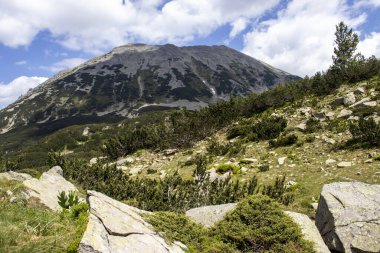 Bulgaristan 'ın Pirin Dağı' ndaki Muratovo Gölü yakınlarındaki manzara