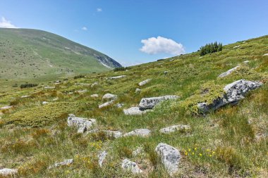 Bulgaristan 'ın Belmeken Barajı yakınlarındaki Rila Dağı' nın muhteşem manzarası