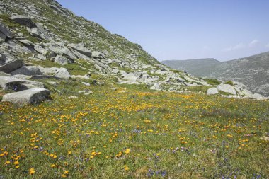 Bulgaristan 'ın Kalin zirvesi yakınlarındaki Rila Dağı' nın İnanılmaz Yaz Manzarası