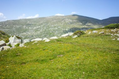 Bulgaristan 'ın Kalin zirvesi yakınlarındaki Rila Dağı' nın İnanılmaz Yaz Manzarası