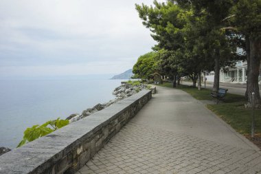 VEVEY, SWitzERLAND - 19 Haziran 2023 Vevey kasabasından Cenevre Gölü, Vaud Kantonu, İsviçre