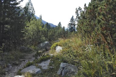 Amazing Landscape of Rila mountain near The Fish Lakes (Ribni Ezera), Bulgaria