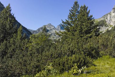 Bulgaristan 'ın Kupens zirvesi yakınlarındaki Rila Dağı' nın İnanılmaz Yaz Manzarası