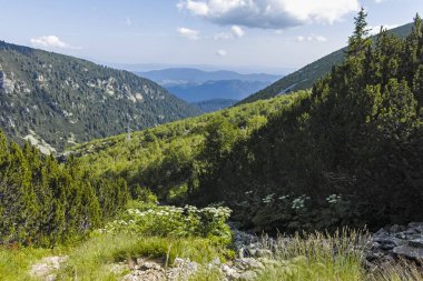 Bulgaristan 'ın Kupens zirvesi yakınlarındaki Rila Dağı' nın İnanılmaz Yaz Manzarası