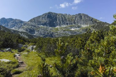 Bulgaristan 'ın Kupens zirvesi yakınlarındaki Rila Dağı' nın İnanılmaz Yaz Manzarası