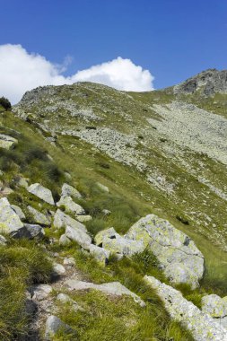 Bulgaristan 'ın Kupens zirvesi yakınlarındaki Rila Dağı' nın İnanılmaz Yaz Manzarası