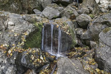 Devin nehir geçidinde Struilitsa Ecotrail, Rodop Dağları, Bulgaristan