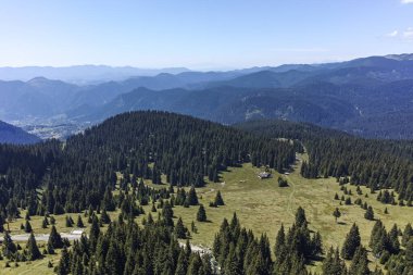 Bulgaristan 'ın Smolyan Bölgesi' nin Snezhanka zirvesi yakınlarındaki Rodop Dağlarının yaz manzarası