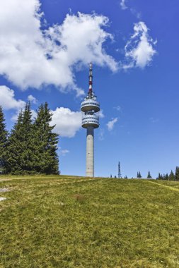 Bulgaristan 'ın Smolyan Bölgesi' nin Snezhanka zirvesi yakınlarındaki Rodop Dağlarının yaz manzarası