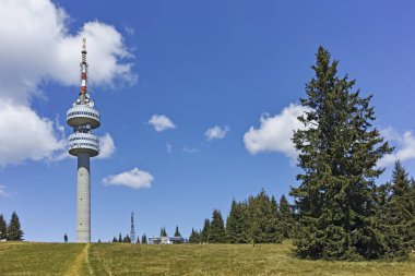 Bulgaristan 'ın Smolyan Bölgesi' nin Snezhanka zirvesi yakınlarındaki Rodop Dağlarının yaz manzarası
