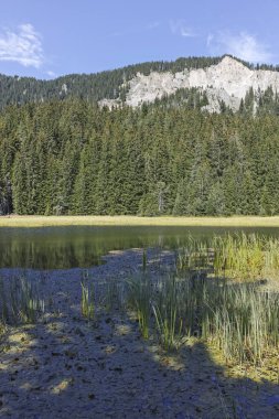 Smolyan göllerinin Rodop Dağları, Smolyan Bölgesi, Bulgaristan