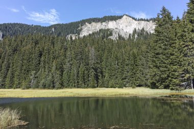 Smolyan göllerinin Rodop Dağları, Smolyan Bölgesi, Bulgaristan