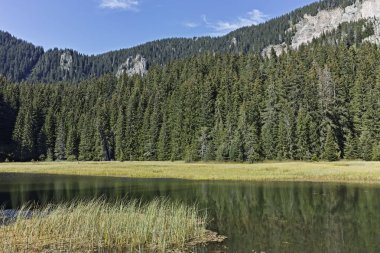Smolyan göllerinin Rodop Dağları, Smolyan Bölgesi, Bulgaristan