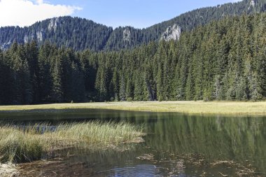 Smolyan göllerinin Rodop Dağları, Smolyan Bölgesi, Bulgaristan