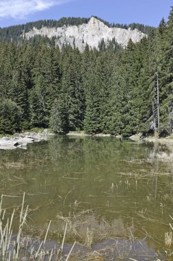 Smolyan göllerinin Rodop Dağları, Smolyan Bölgesi, Bulgaristan