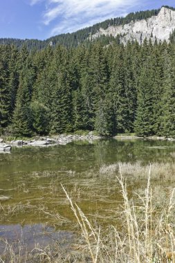 Smolyan göllerinin Rodop Dağları, Smolyan Bölgesi, Bulgaristan