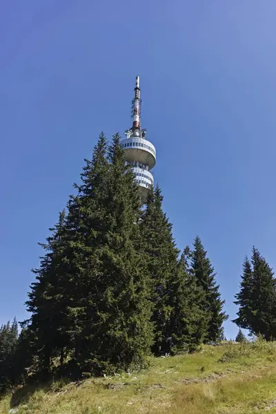 Bulgaristan 'ın Smolyan Bölgesi' nin Snezhanka zirvesi yakınlarındaki Rodop Dağlarının yaz manzarası