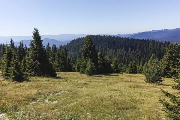 Bulgaristan 'ın Smolyan Bölgesi' nin Snezhanka zirvesi yakınlarındaki Rodop Dağlarının yaz manzarası