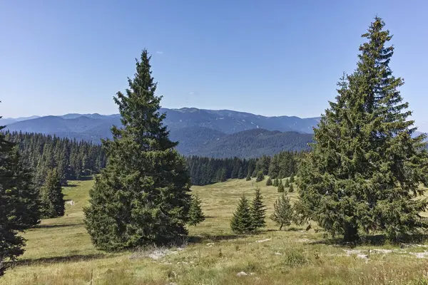 Bulgaristan 'ın Smolyan Bölgesi' nin Snezhanka zirvesi yakınlarındaki Rodop Dağlarının yaz manzarası