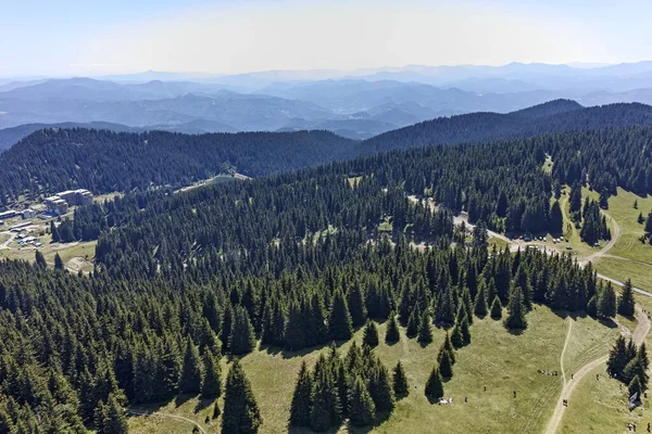 Bulgaristan 'ın Smolyan Bölgesi' nin Snezhanka zirvesi yakınlarındaki Rodop Dağlarının yaz manzarası