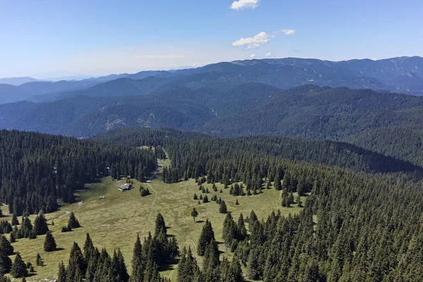 Bulgaristan 'ın Smolyan Bölgesi' nin Snezhanka zirvesi yakınlarındaki Rodop Dağlarının yaz manzarası