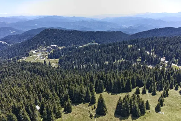 Bulgaristan 'ın Smolyan Bölgesi' nin Snezhanka zirvesi yakınlarındaki Rodop Dağlarının yaz manzarası