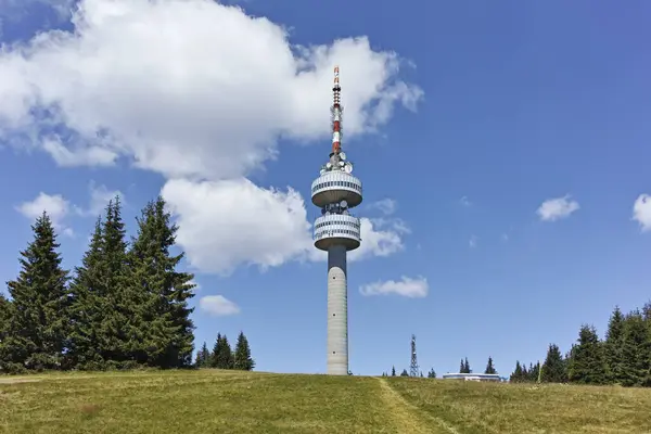 Bulgaristan 'ın Smolyan Bölgesi' nin Snezhanka zirvesi yakınlarındaki Rodop Dağlarının yaz manzarası
