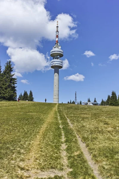 Bulgaristan 'ın Smolyan Bölgesi' nin Snezhanka zirvesi yakınlarındaki Rodop Dağlarının yaz manzarası