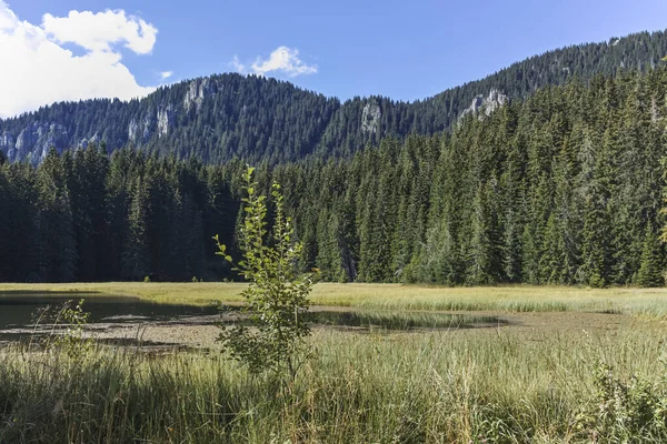 Smolyan göllerinin Rodop Dağları, Smolyan Bölgesi, Bulgaristan