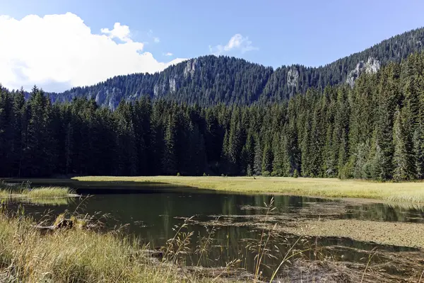 Smolyan göllerinin Rodop Dağları, Smolyan Bölgesi, Bulgaristan