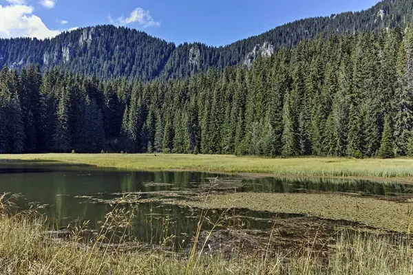 Smolyan göllerinin Rodop Dağları, Smolyan Bölgesi, Bulgaristan