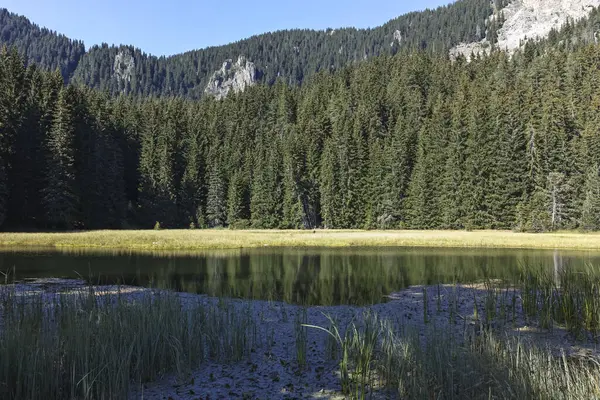 Smolyan göllerinin Rodop Dağları, Smolyan Bölgesi, Bulgaristan