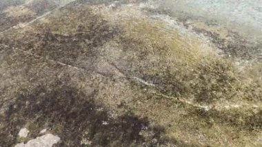 Karydi Sahili yakınlarındaki Sithonia kıyı şeridi, Chalkidiki, Orta Makedonya, Yunanistan