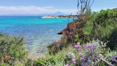 Karydi Sahili yakınlarındaki Sithonia kıyı şeridi, Chalkidiki, Orta Makedonya, Yunanistan