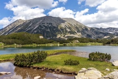 Amazing Summer view of Pirin Mountain around Banderitsa River, Bulgaria