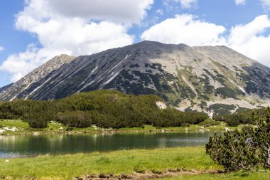 Amazing Summer view of Pirin Mountain around Banderitsa River, Bulgaria