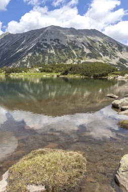 Amazing Summer view of Pirin Mountain around Banderitsa River, Bulgaria
