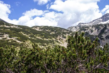 Amazing Summer view of Pirin Mountain around Banderitsa River, Bulgaria