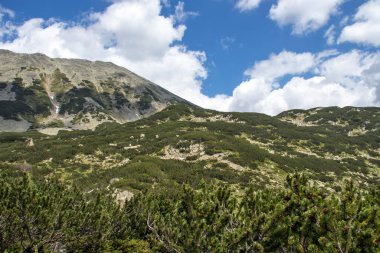 Amazing Summer view of Pirin Mountain around Banderitsa River, Bulgaria