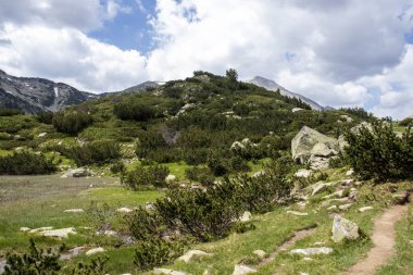 Amazing Summer view of Pirin Mountain around Banderitsa River, Bulgaria