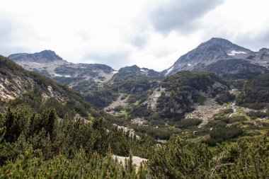 Amazing Summer view of Pirin Mountain around Banderitsa River, Bulgaria