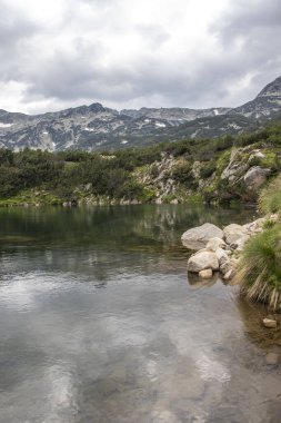 Amazing Summer view of Pirin Mountain around Banderitsa River, Bulgaria clipart