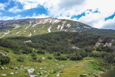 Amazing Summer view of Pirin Mountain around Banderitsa River, Bulgaria