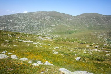 Bulgaristan 'ın Kalin zirvesi yakınlarındaki Rila Dağı' nın İnanılmaz Yaz Manzarası