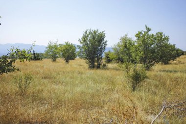 Vikos Vadisi ve Pindus Dağları, Zagori, Epirus, Yunanistan 'ın Muhteşem Yaz manzarası