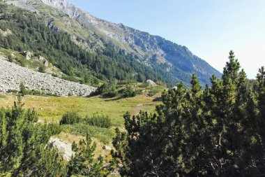 Amazing Summer landscape of Pirin Mountain near Banderitsa River, Bulgaria