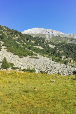 Amazing Summer landscape of Pirin Mountain near Banderitsa River, Bulgaria