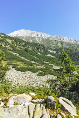 Amazing Summer landscape of Pirin Mountain near Banderitsa River, Bulgaria